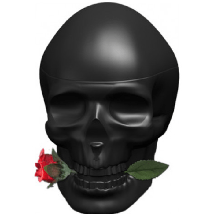 Christian Audigier Skulls And Rose - Eau de Toilette - LuxScents.nl