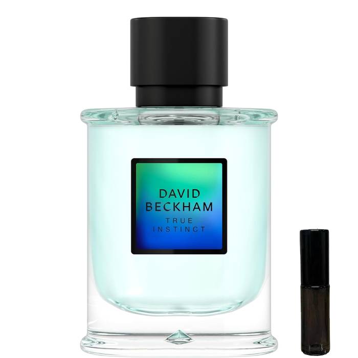 David Beckham True Instinct - Eau de Parfum - LuxScents.nl