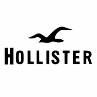 Hollister logo
