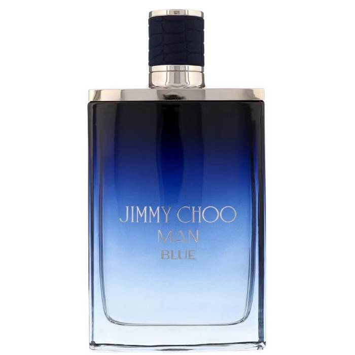 Jimmy Choo Blue - Eau de Toilette - LuxScents.nl