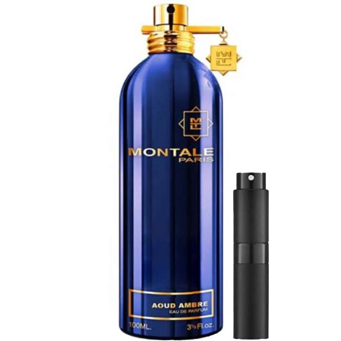 Montale Paris Aoud Ambre - Eau de Parfum - LuxScents.nl