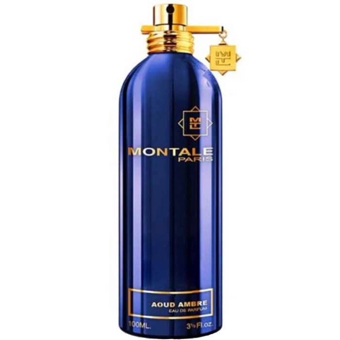Montale Paris Aoud Ambre - Eau de Parfum - LuxScents.nl