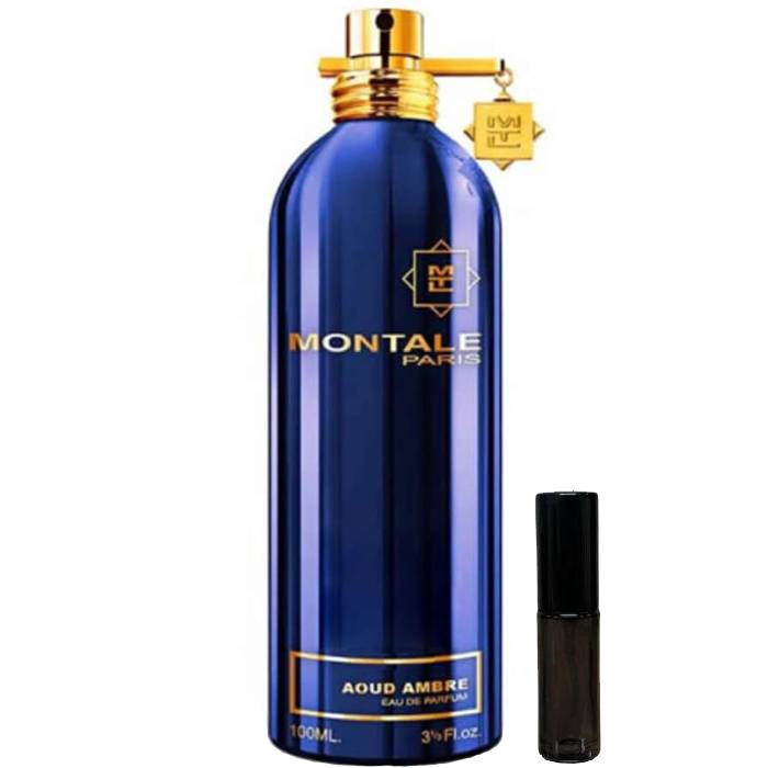 Montale Paris Aoud Ambre - Eau de Parfum - LuxScents.nl
