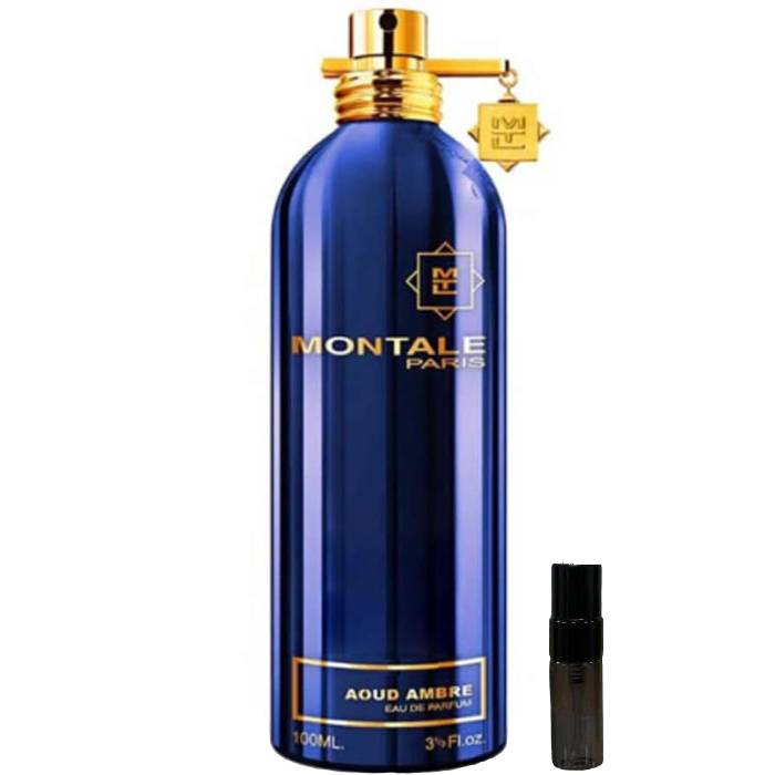Montale Paris Aoud Ambre - Eau de Parfum - LuxScents.nl