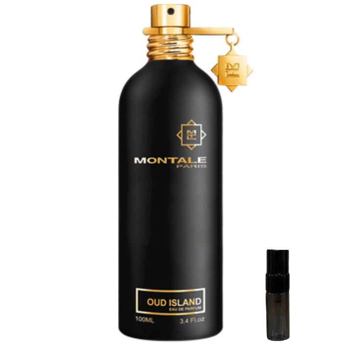 Montale Paris Oud Dream - Eau de Parfum - LuxScents.nl