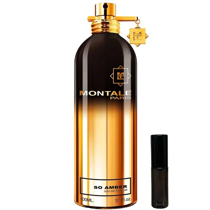 Montale Paris So Amber - Eau de Parfum - LuxScents.nl