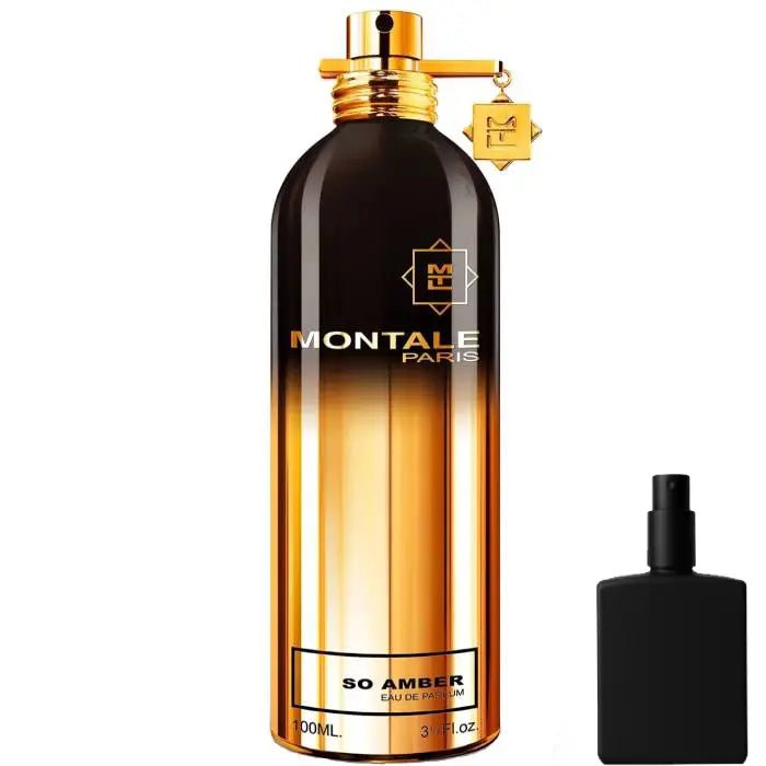 Montale Paris So Amber - Eau de Parfum - LuxScents