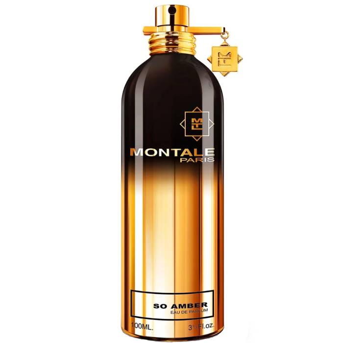 Montale Paris So Amber - Eau de Parfum - LuxScents.nl
