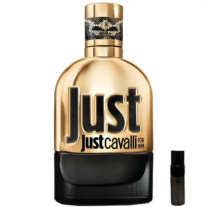 Roberto Cavalli Just Cavalli Gold for Him - Eau de Parfum - LuxScents